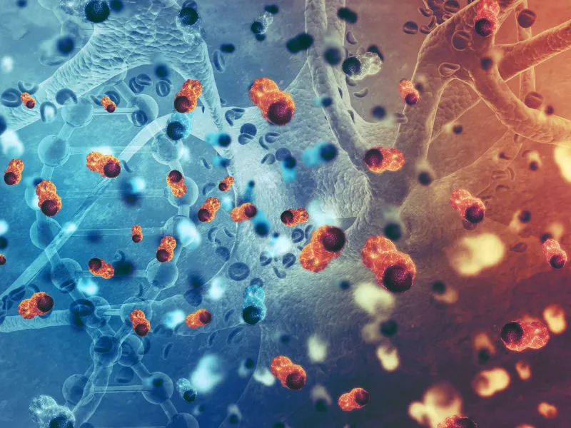 Dysplasiesprechstunde