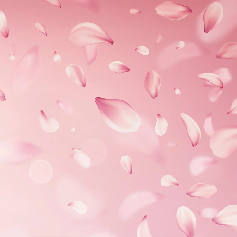 Gynäkologische Praxis am Bodensee – Empfangsbereich